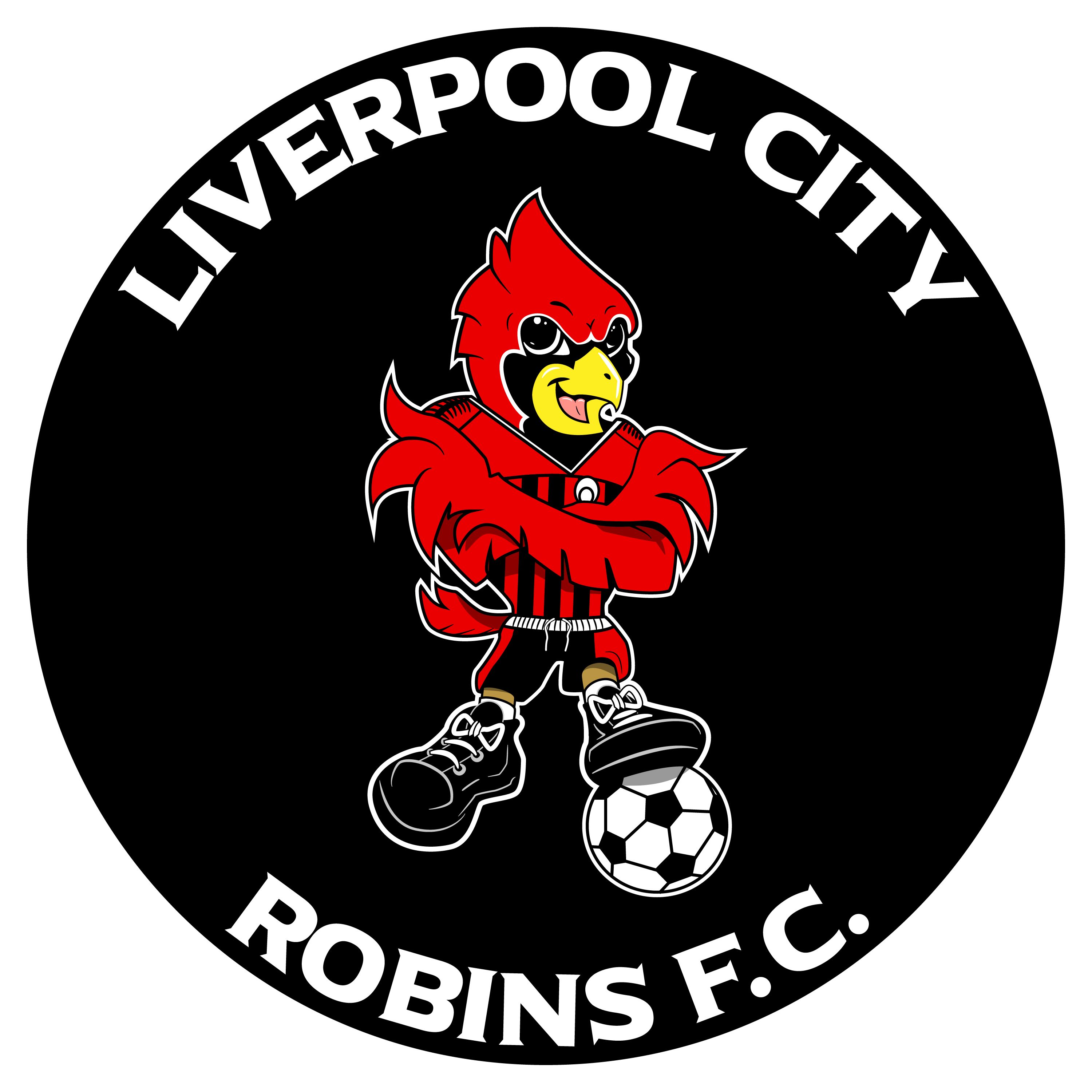 useful-links-liverpool-city-robins-f-c